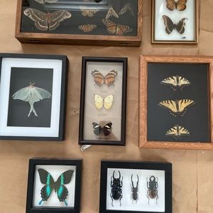 Meet your Posher, Bee